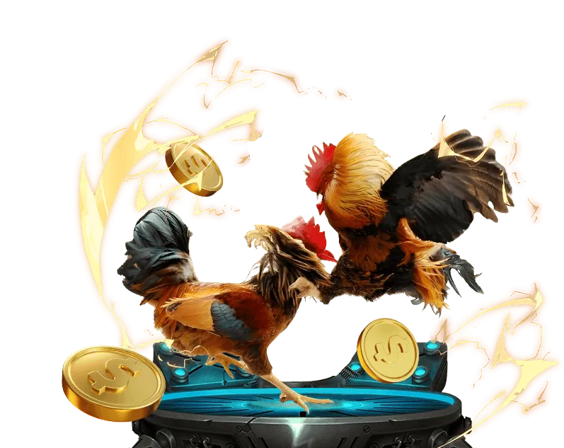 Quy trình phân tích chuyên nghiệp của M88